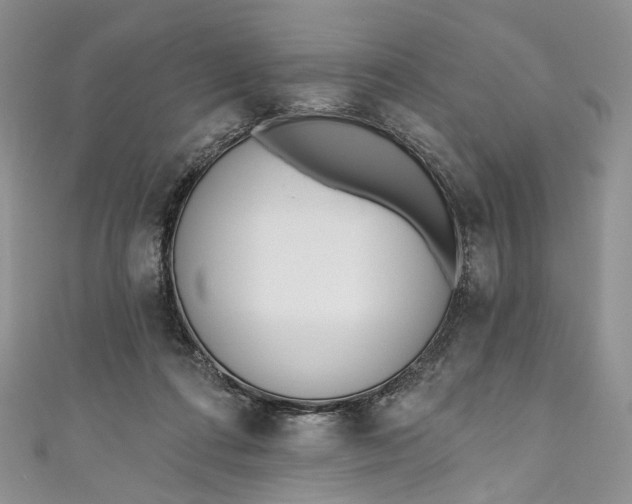 X0000110900312200907021543