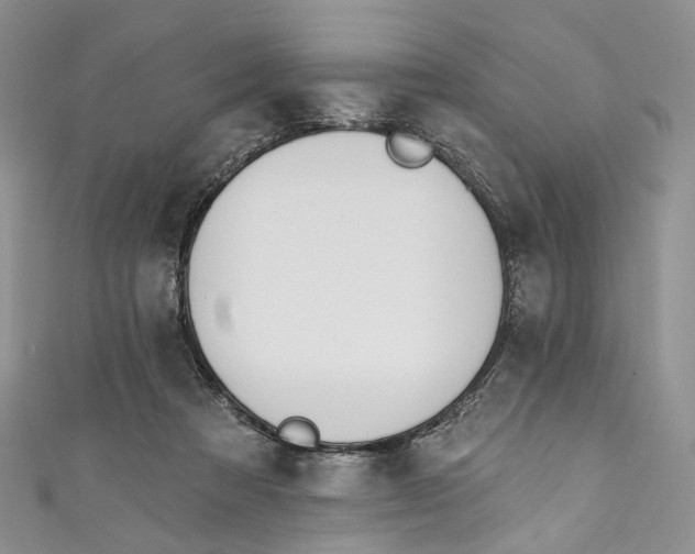 X0000110900313200907021543