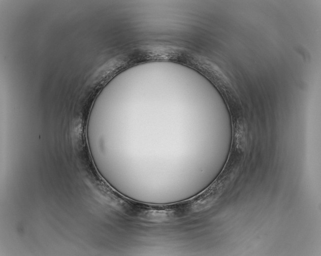 X0000110900314200907021543