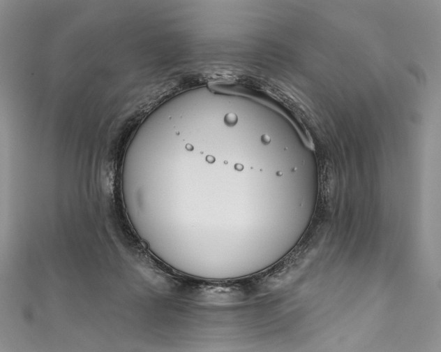 X0000110900315200907021543