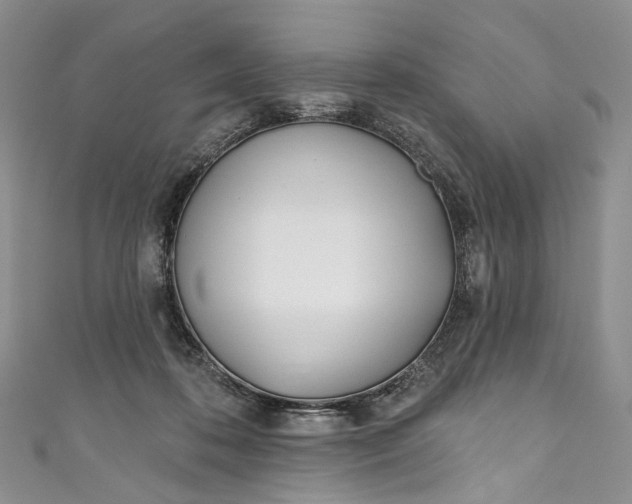 X0000110900316200907021543