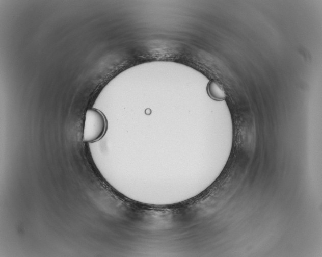 X0000110900317200907021543