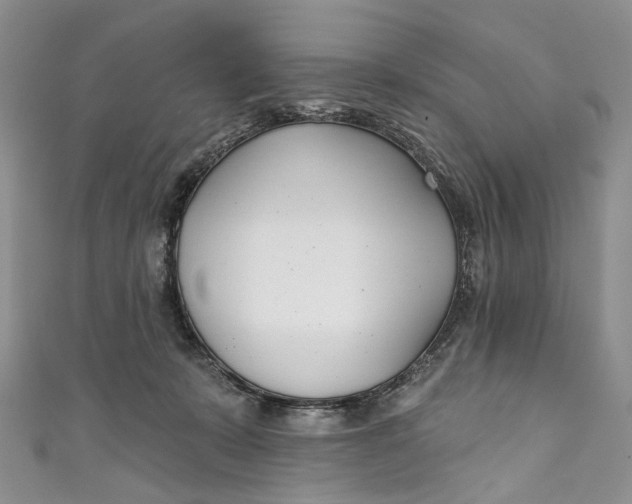 X0000110900319200907021543