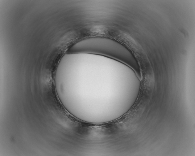 X0000110900320200907021543