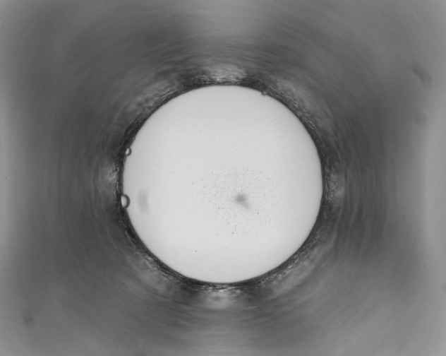 X0000110900321200907021543