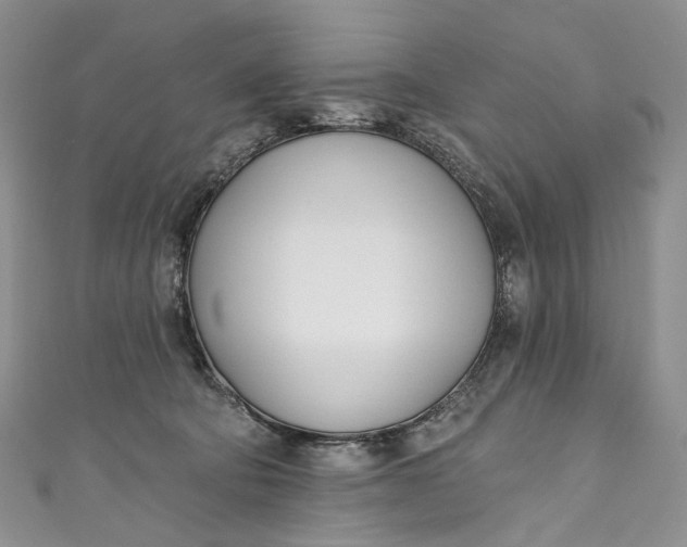 X0000110900322200907021543