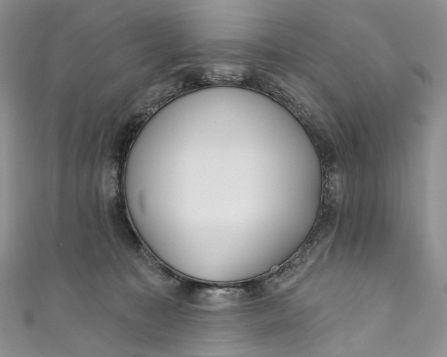 X0000110900323200907021543