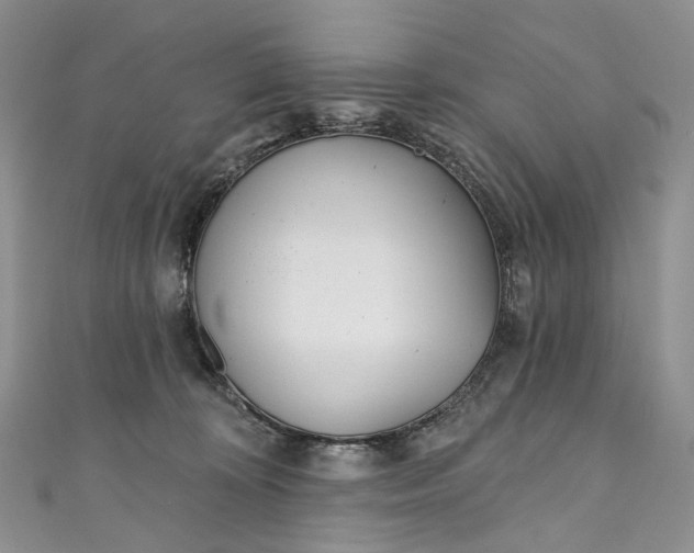 X0000110900324200907021543