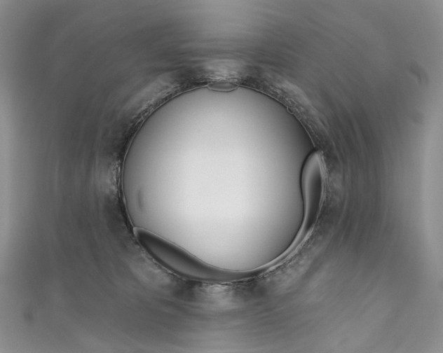 X0000110900325200907021543