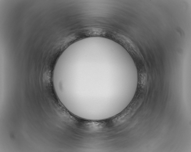 X0000110900326200907021543