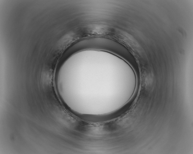 X0000110900328200907021543