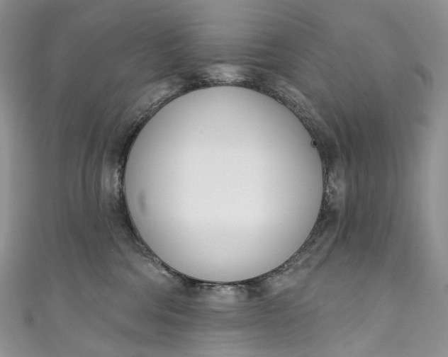 X0000110900330200907021543