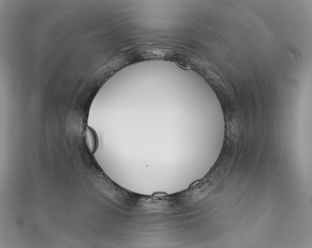 X0000110900331200907021543