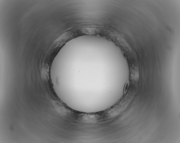 X0000110900332200907021543