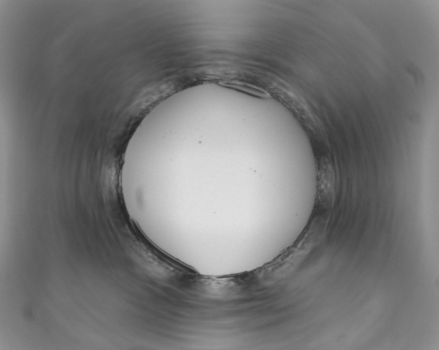 X0000110900333200907021543
