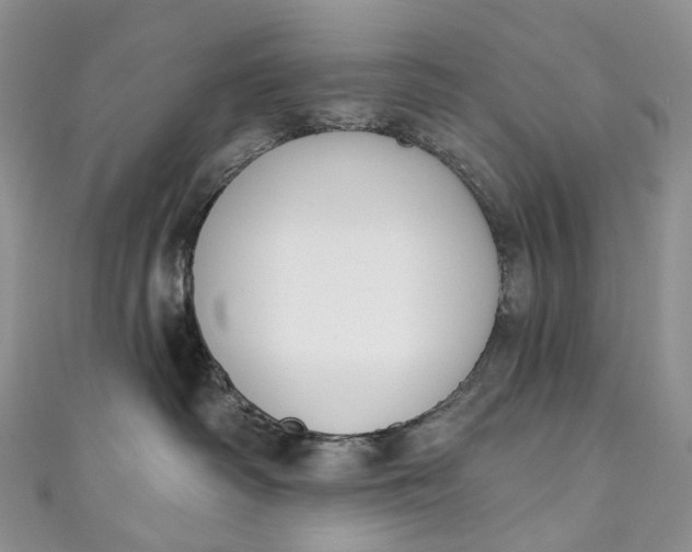 X0000110900334200907021543