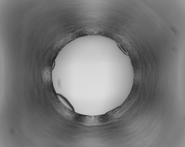 X0000110900335200907021543