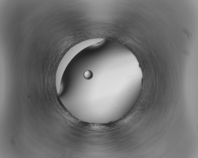 X0000110900336200907021542