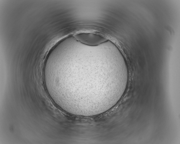 X0000110900337200907021542