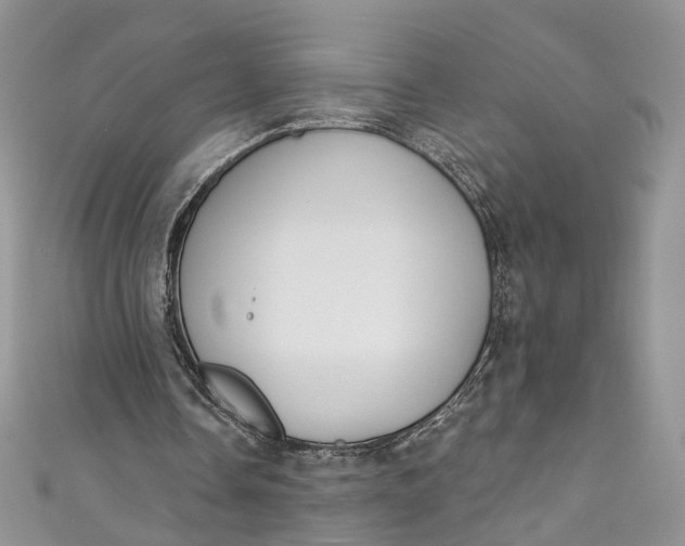 X0000110900338200907021542