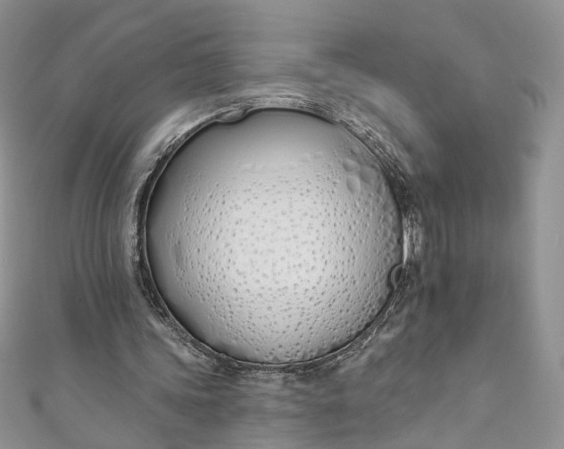 X0000110900339200907021542