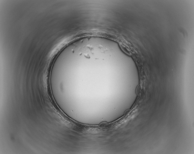 X0000110900341200907021542