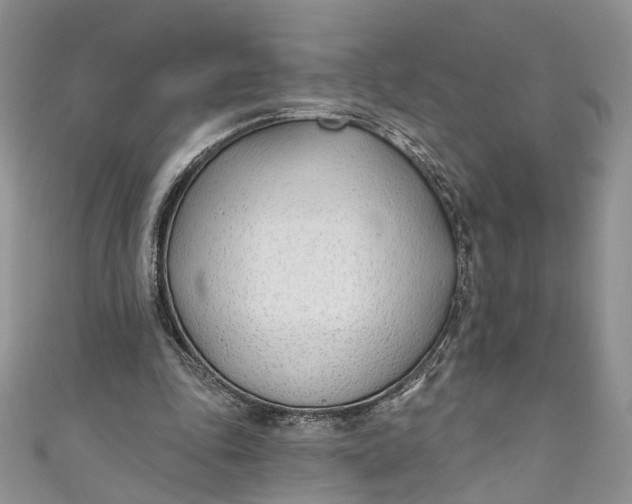 X0000110900343200907021542