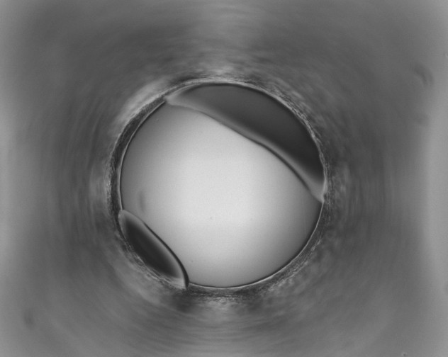 X0000110900344200907021542