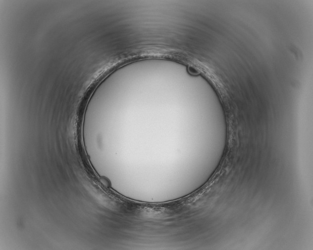 X0000110900346200907021542