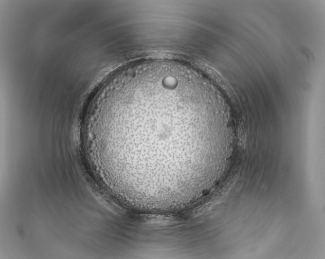 X0000110900347200907021542