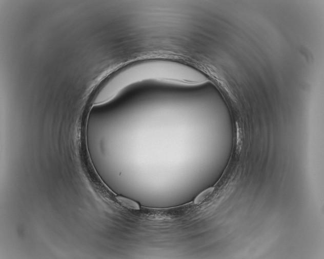 X0000110900348200907021542