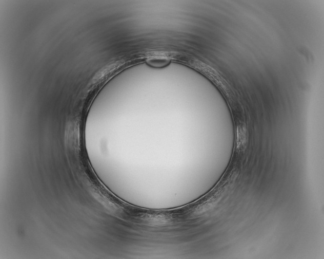 X0000110900349200907021542