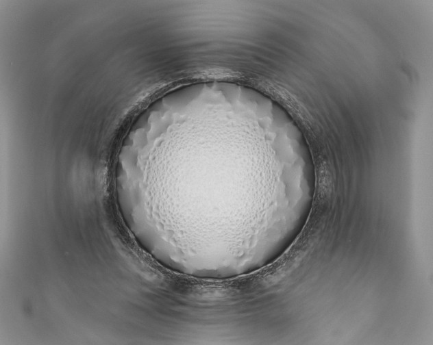 X0000110900351200907021542