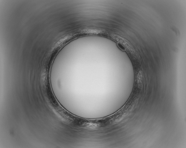 X0000110900352200907021542