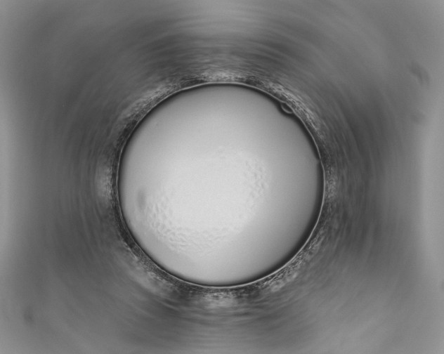X0000110900353200907021542