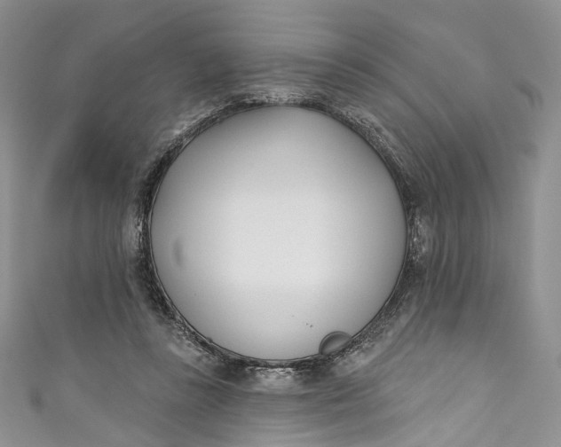 X0000110900355200907021542