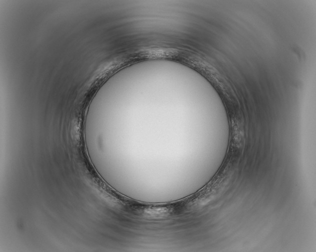X0000110900357200907021542