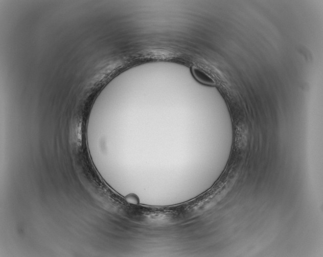 X0000110900358200907021542