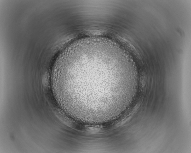 X0000110900359200907021542