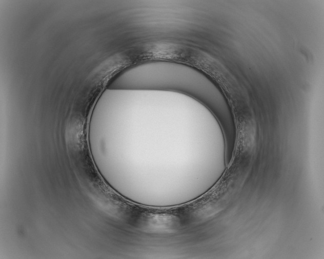 X0000110900360200907021542