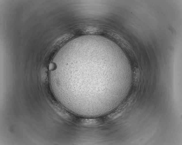 X0000110900361200907021542