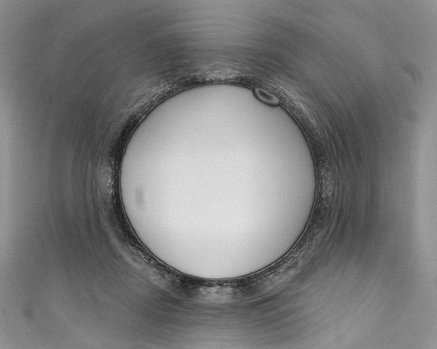 X0000110900362200907021542