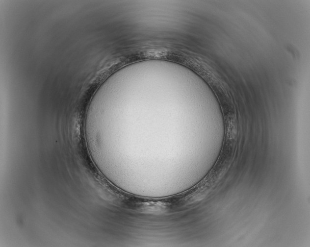 X0000110900363200907021542