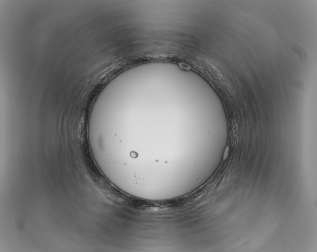 X0000110900364200907021542