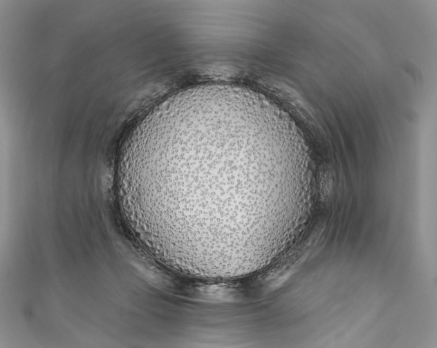 X0000110900365200907021542