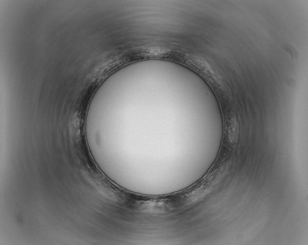 X0000110900366200907021542