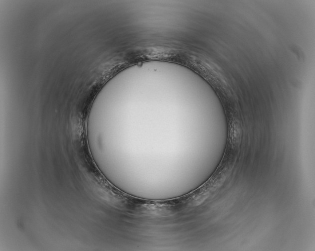 X0000110900367200907021542