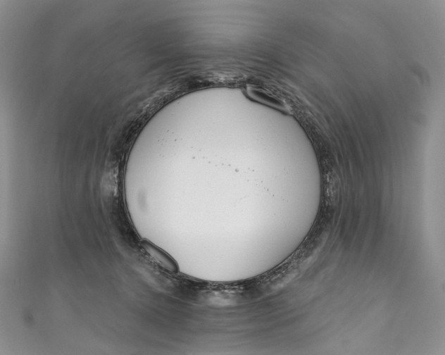 X0000110900368200907021542