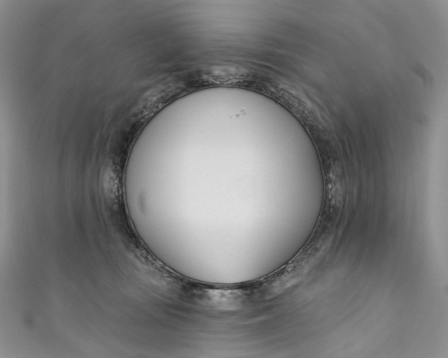 X0000110900371200907021542