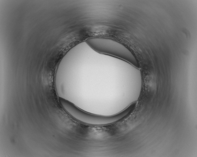 X0000110900372200907021542